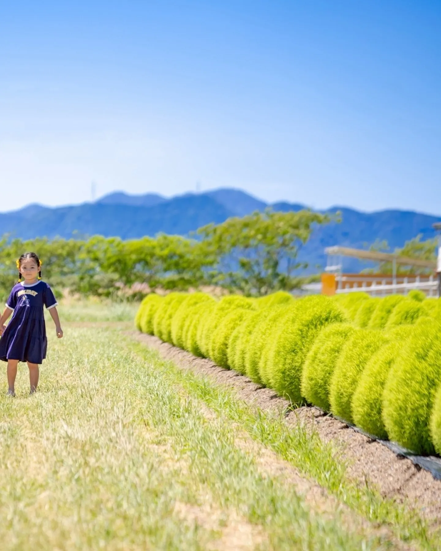 さて、夏も終わりに近づいてきましたねぇ。